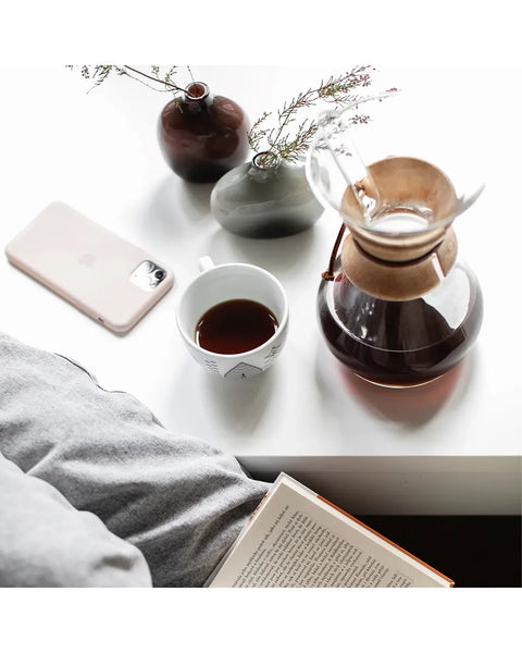 Chemex 6-Cup